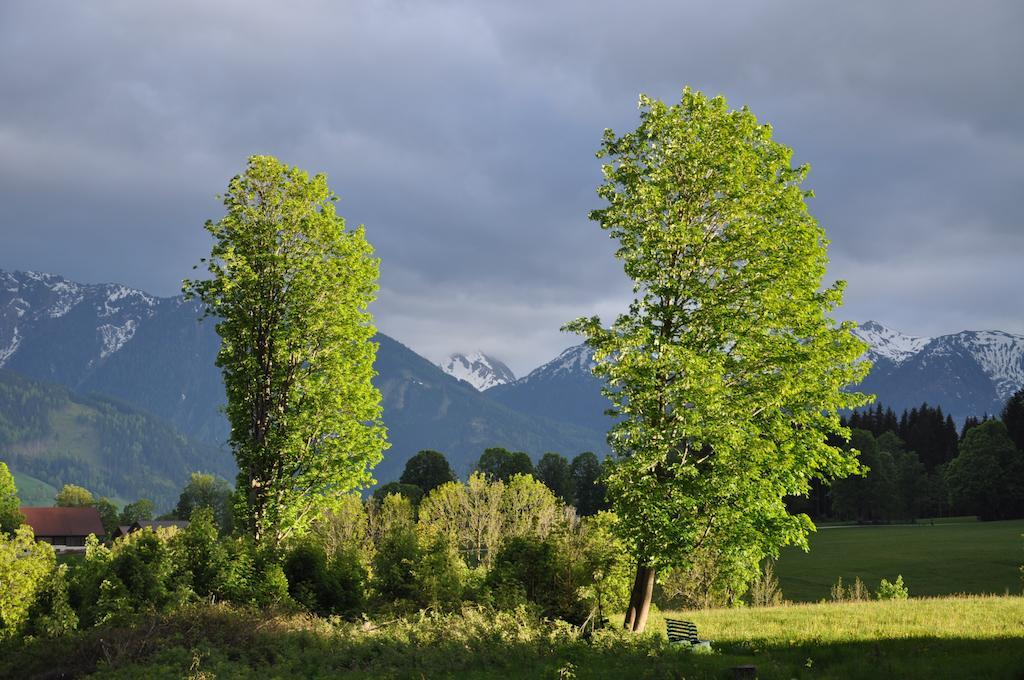 Apartmenthaus Dornroeschen Ramsau am Dachstein Exterior foto