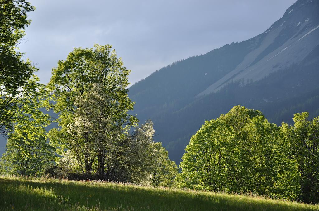 Apartmenthaus Dornroeschen Ramsau am Dachstein Exterior foto